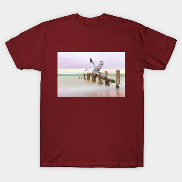 Sandhill Crane and Old Dock T-Shirt by lauradyoung